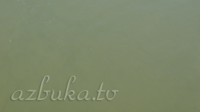 Цвет воды в Дунае