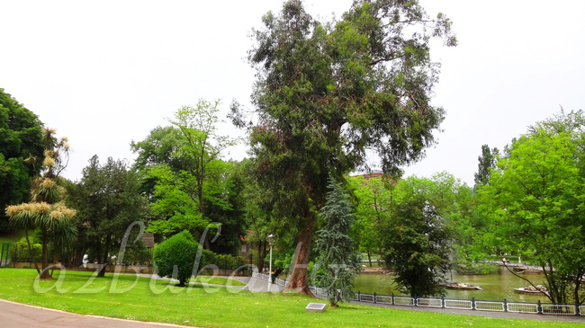 Parque de Doña Casilda de Iturrizar