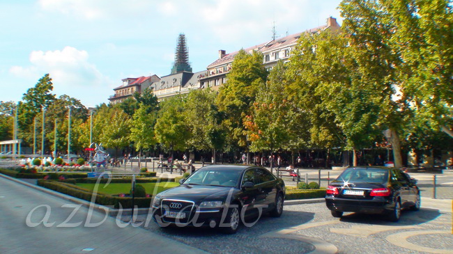 Клёны на Хвездославской площади