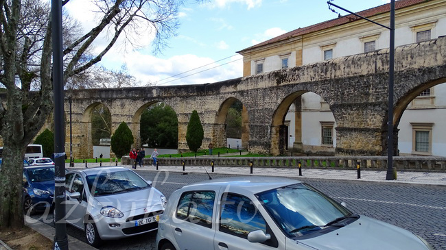 Акведук Сан-Себастьяно, Ботанический музей