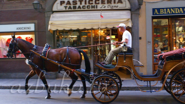 Общественный транспорт во Флоренции