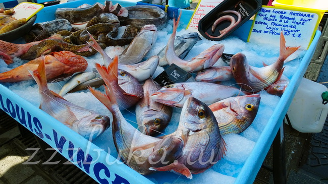 Рыбный рынок в Старом порту