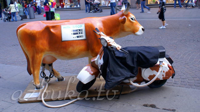 Парад коров