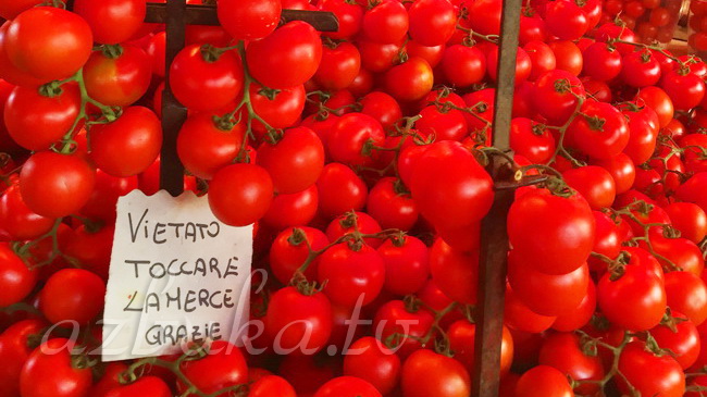 Италия - страна томатов