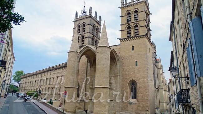 Кафедральный собор Святого Петра (южный фасад)
