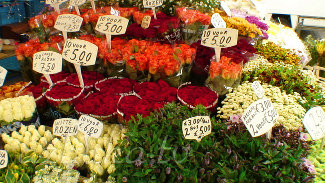 На цветочном рынке