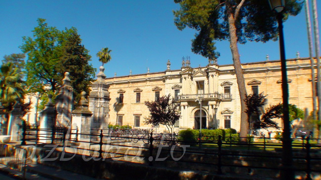 Университет Севильи