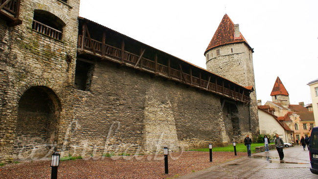 Башни старого Таллина